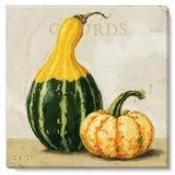 Giclee Wall Art - Gourds and Pumpkins