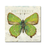 Wall Art – Butterflies
