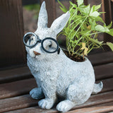 Planter Silly Glasses