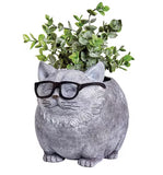 Planter Silly Glasses