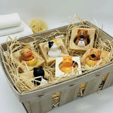 Soap Bar For Kids