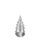 Evergreen/SilverLeaf