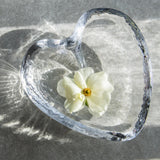 Heart Dish