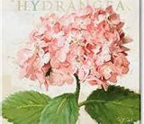 Wall Art – Flowers